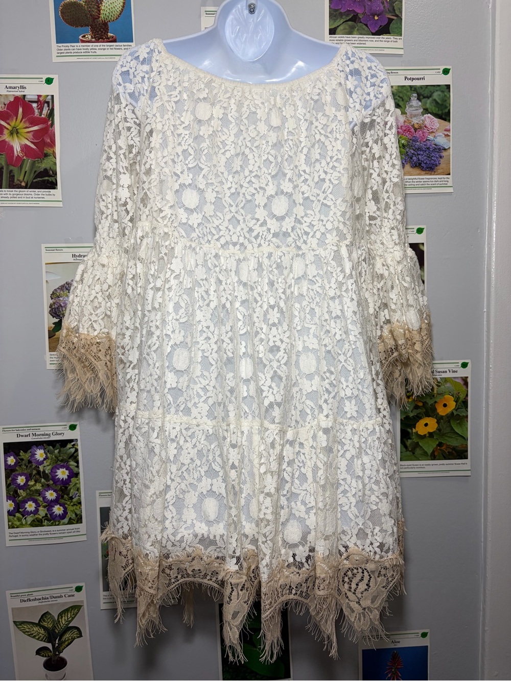VENUS White Lace Boho Dress with Beige Trim - Picture 2 of 6
